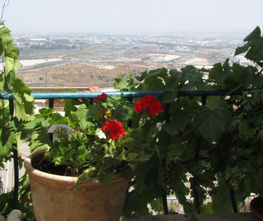 The Artist'S House Overlooking The Bay Of ไฮฟา ภายนอก รูปภาพ